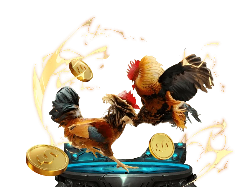 Hệ thống theo dõi hiệu suất